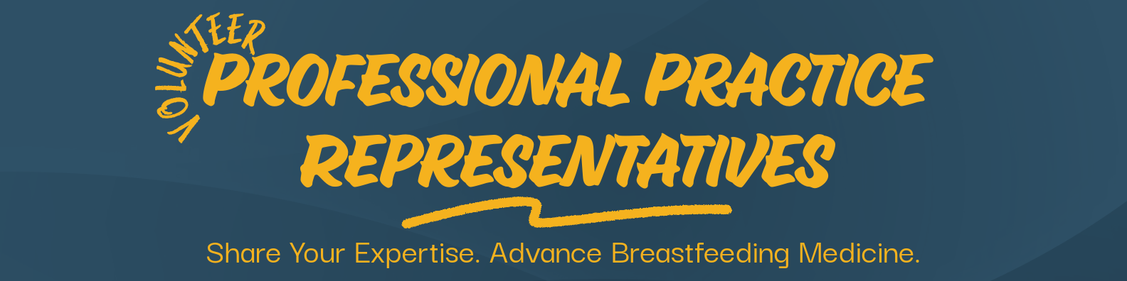 professional practice representative banner