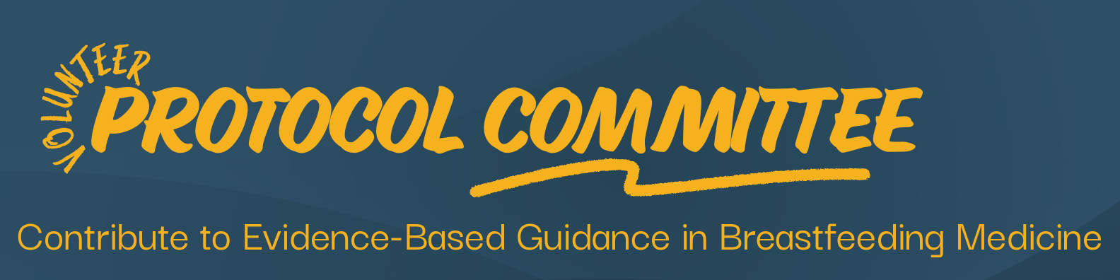 banner with text: protocol committee volunteer