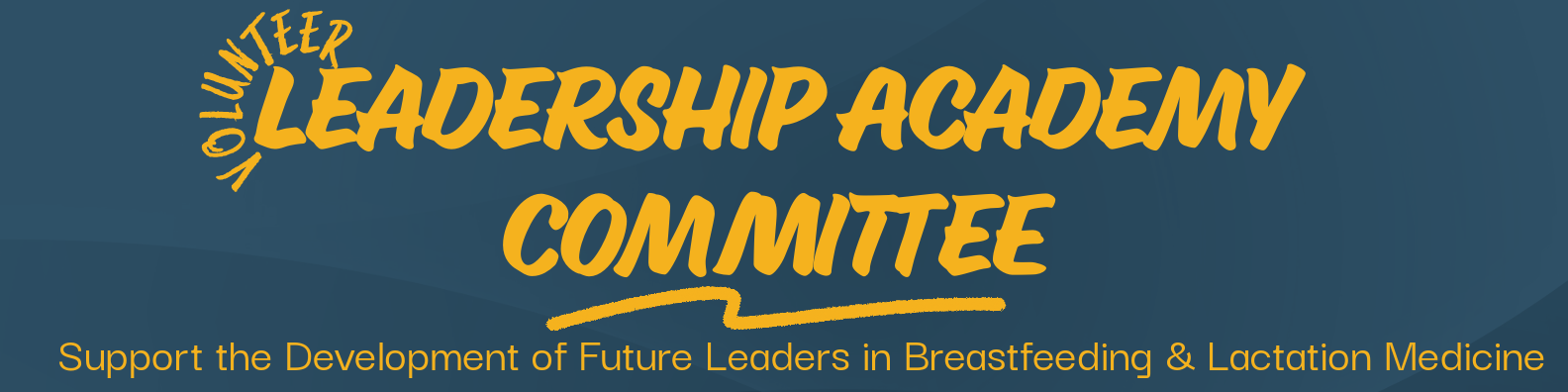 leadership academy volunteer banner